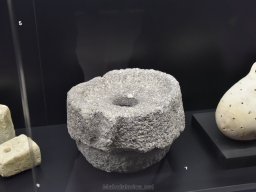 Ciudad de Elche 2022